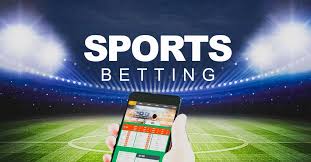 Betwinner  La Plateforme de Paris Sportifs à Ne Pas Manquer
